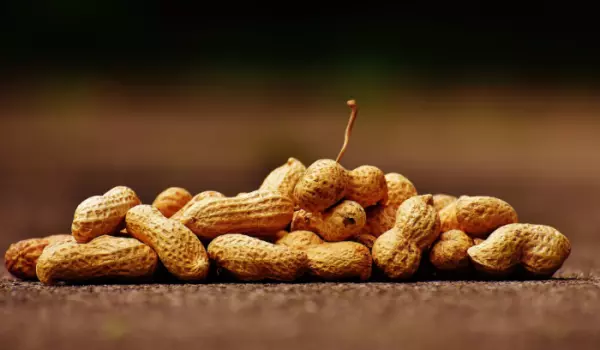 Mineral oil components in peanuts