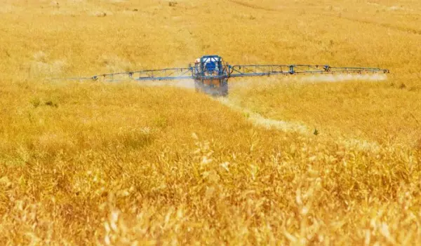 Oxymatrine - classified as a pesticide in the EU since July 1st, 2021