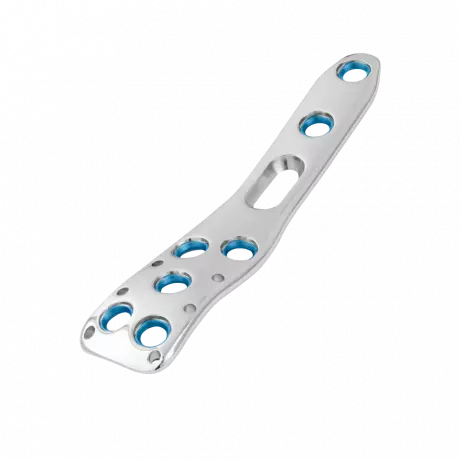 Knochenplatte mit Inlays