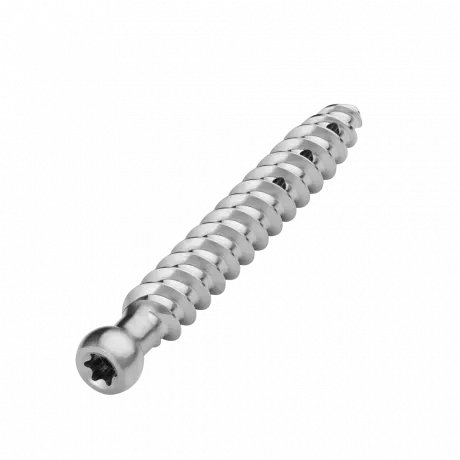 Polyaxial screw