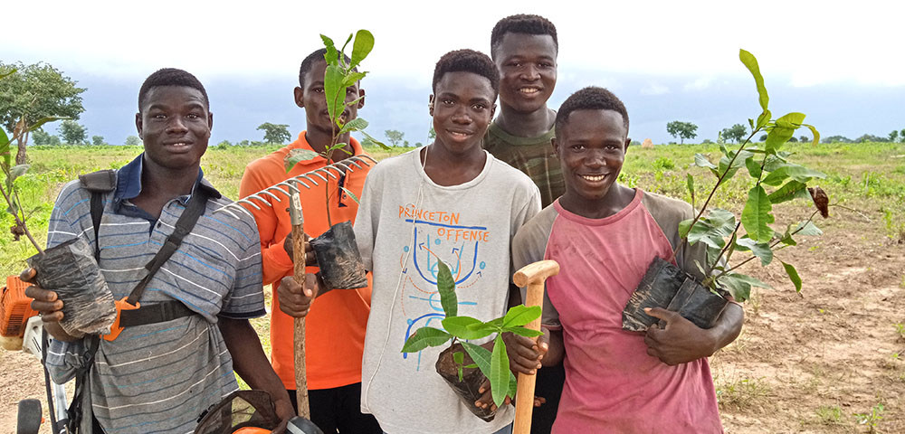 Feedback promotes forest project